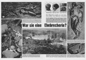 Ausriss aus der Illustrierten "stern" vom November 1953