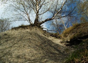 Rest der Steinhalde; Foto: Meine Stadt