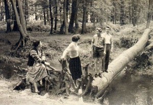 Der Hammbach am Buchenbusch bei Tüshaus in Deuten 1956