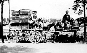 Tauben-Transport zu Kaisers Zeiten