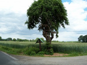 Polsumer Weg in Altendorf-Ulfkotte; Foto: Wolf Stegemann