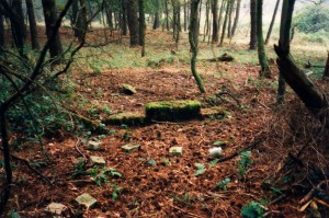 Reste der Fundamente der Landebahn (1997)