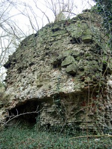 Rest eines Burgturms von Hagenbeck