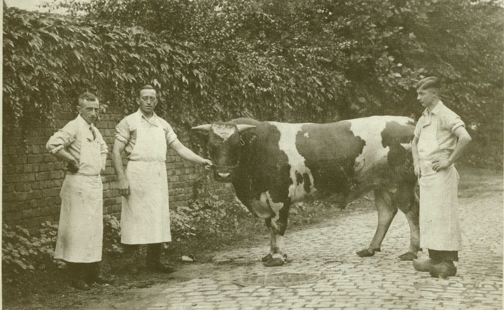 Metzger Hermann Perstein mit Gesellen