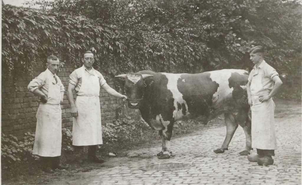 Metzger Hermann Perlstein mit Gesellen